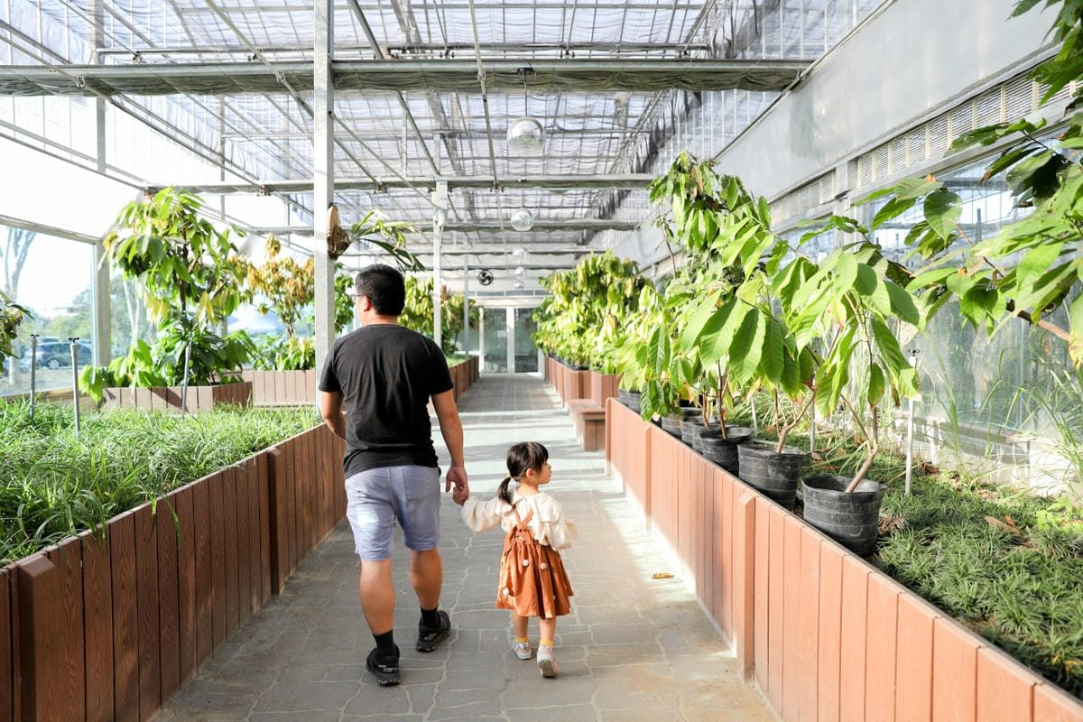 雲林旅遊|雲林景點推薦!土庫驛可可莊園 巧克力專賣店 台灣生巧克力、義式冰淇淋推薦! - 第30張圖 雲林旅遊|雲林景點推薦!土庫驛可可莊園 巧克力專賣店 台灣生巧克力、義式冰淇淋推薦!