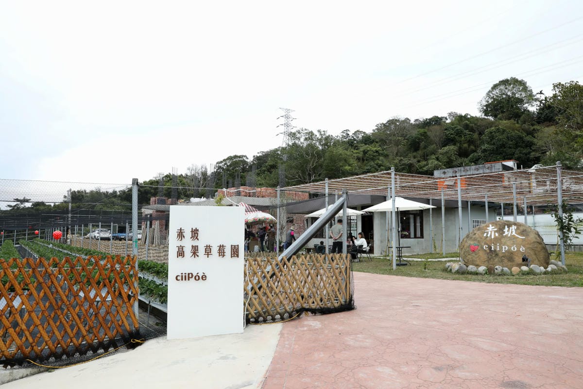 苗栗景點|赤坡高架草莓園X赤坡Ciipoe咖啡 冬天就是要來苗栗大湖採草莓,享受草莓甜點、草莓飲品! - 第3張圖 苗栗景點|赤坡高架草莓園X赤坡Ciipoe咖啡 冬天就是要來苗栗大湖採草莓,享受草莓甜點、草莓飲品!