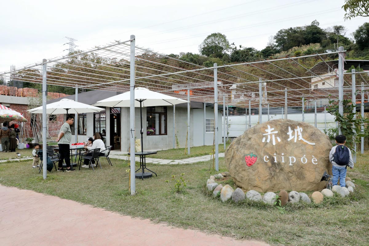 苗栗景點|赤坡高架草莓園X赤坡Ciipoe咖啡 冬天就是要來苗栗大湖採草莓,享受草莓甜點、草莓飲品! - 第4張圖 苗栗景點|赤坡高架草莓園X赤坡Ciipoe咖啡 冬天就是要來苗栗大湖採草莓,享受草莓甜點、草莓飲品!