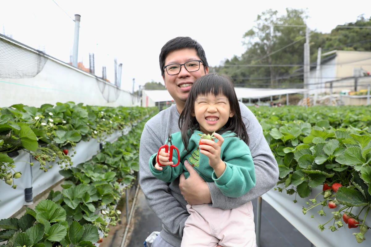苗栗景點|赤坡高架草莓園X赤坡Ciipoe咖啡 冬天就是要來苗栗大湖採草莓,享受草莓甜點、草莓飲品! - 第32張圖 苗栗景點|赤坡高架草莓園X赤坡Ciipoe咖啡 冬天就是要來苗栗大湖採草莓,享受草莓甜點、草莓飲品!