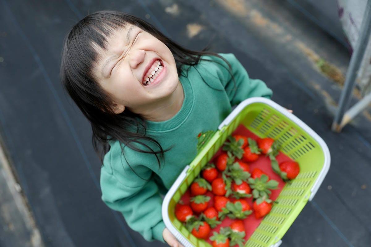 苗栗景點|赤坡高架草莓園X赤坡Ciipoe咖啡 冬天就是要來苗栗大湖採草莓,享受草莓甜點、草莓飲品! - 第42張圖 苗栗景點|赤坡高架草莓園X赤坡Ciipoe咖啡 冬天就是要來苗栗大湖採草莓,享受草莓甜點、草莓飲品!