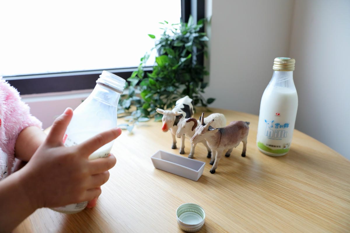 兒童羊奶推薦!豐新鮮羊乳 幼兒羊奶每日配送、營養補充品推薦 - 第11張圖 兒童羊奶推薦!豐新鮮羊乳 幼兒羊奶每日配送、營養補充品推薦