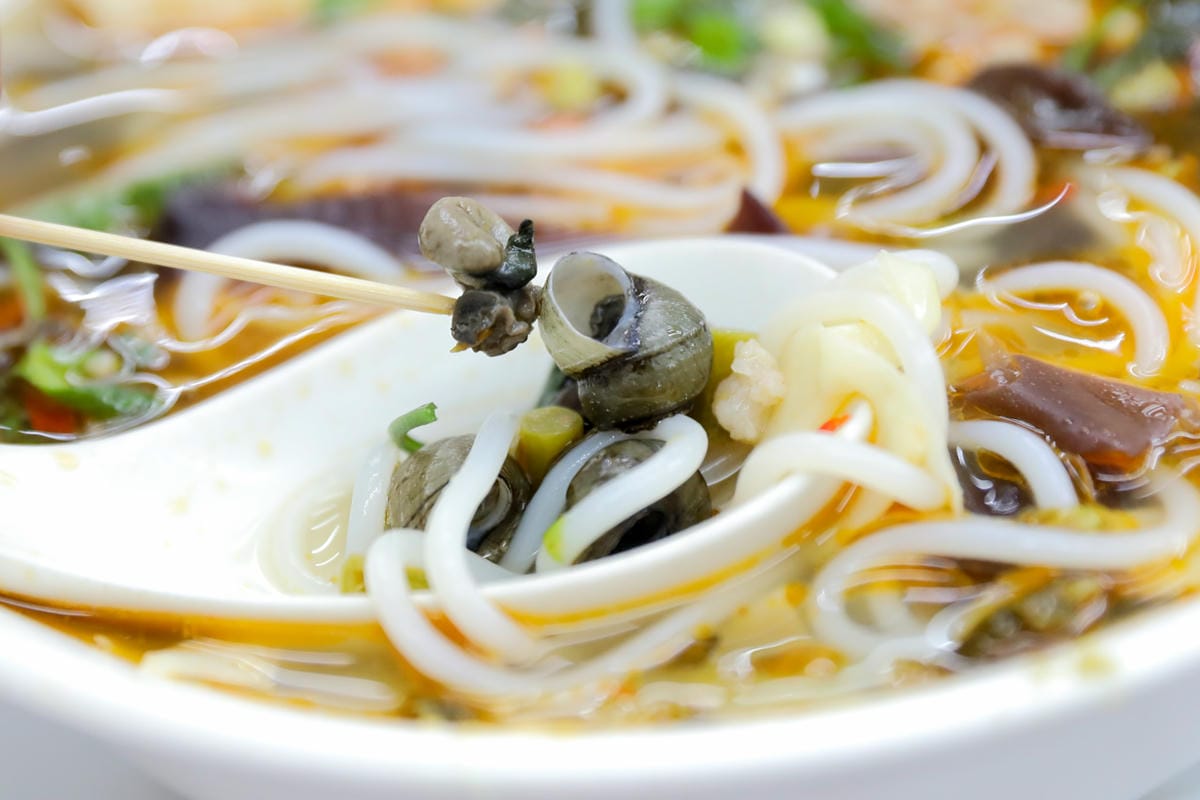 西門町美食,廣西正宗道地螺螄粉、酸辣粉推薦!甲天下桂林米粉-莫家 中藥熬煮湯頭超美味~ - 第10張圖 西門町美食,廣西正宗道地螺螄粉、酸辣粉推薦!甲天下桂林米粉-莫家 中藥熬煮湯頭超美味~