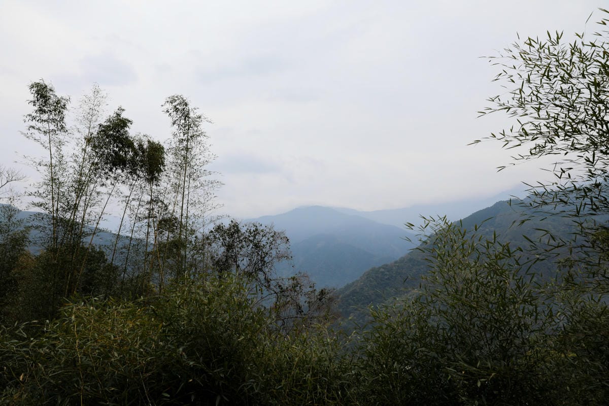 蟬說2026櫻花季開跑~新竹豪華露營,免裝備親子露營推薦! 蟬說:霧繞 woorao 浪漫櫻花下露營,一泊二食輕鬆露,泰雅族獵徑尋根體驗 - 第27張圖 蟬說2026櫻花季開跑~新竹豪華露營,免裝備親子露營推薦! 蟬說:霧繞 woorao 浪漫櫻花下露營,一泊二食輕鬆露,泰雅族獵徑尋根體驗