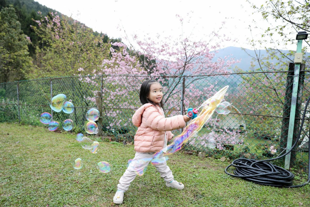 蟬說2026櫻花季開跑~新竹豪華露營,免裝備親子露營推薦! 蟬說:霧繞 woorao 浪漫櫻花下露營,一泊二食輕鬆露,泰雅族獵徑尋根體驗 - 第2張圖 蟬說2026櫻花季開跑~新竹豪華露營,免裝備親子露營推薦! 蟬說:霧繞 woorao 浪漫櫻花下露營,一泊二食輕鬆露,泰雅族獵徑尋根體驗