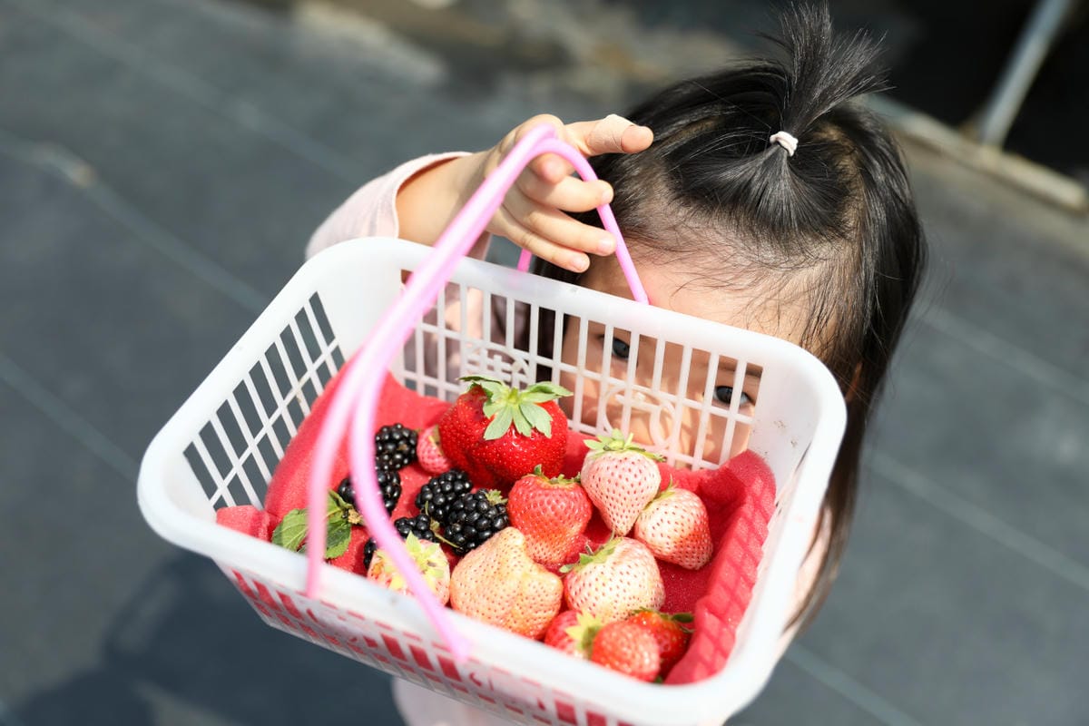 台中呼密·藍莓農場 採藍莓.採草莓.採黑莓.採蔓越莓 台中親子採果景點推薦!