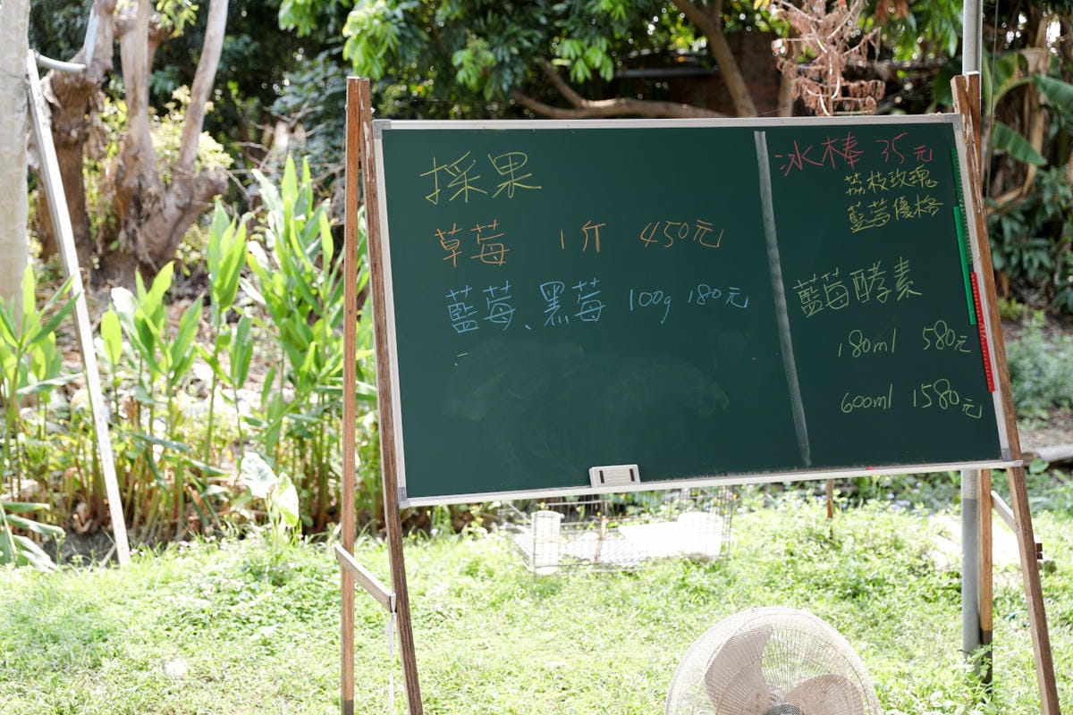 台中呼密·藍莓農場 採藍莓.採草莓.採黑莓.採蔓越莓 台中親子採果景點推薦!