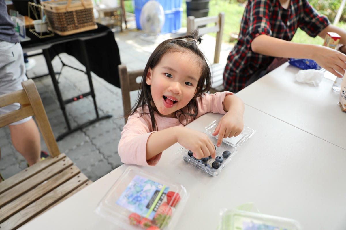 台中呼密·藍莓農場 採藍莓.採草莓.採黑莓.採蔓越莓 台中親子採果景點推薦!