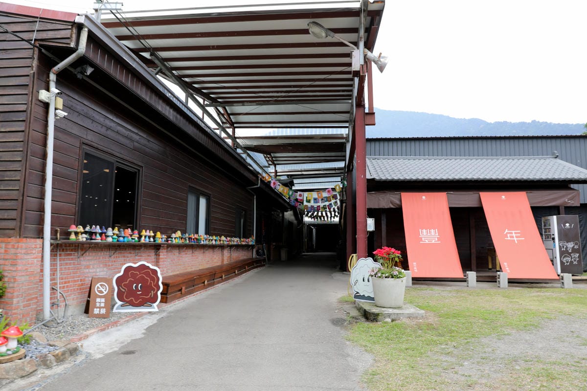 南投親子景點推薦! 豐年靈芝菇類生態農場 埔里親子採菇趣.披薩DIY.公仔彩繪 - 第4張圖 南投親子景點推薦! 豐年靈芝菇類生態農場 埔里親子採菇趣.披薩DIY.公仔彩繪