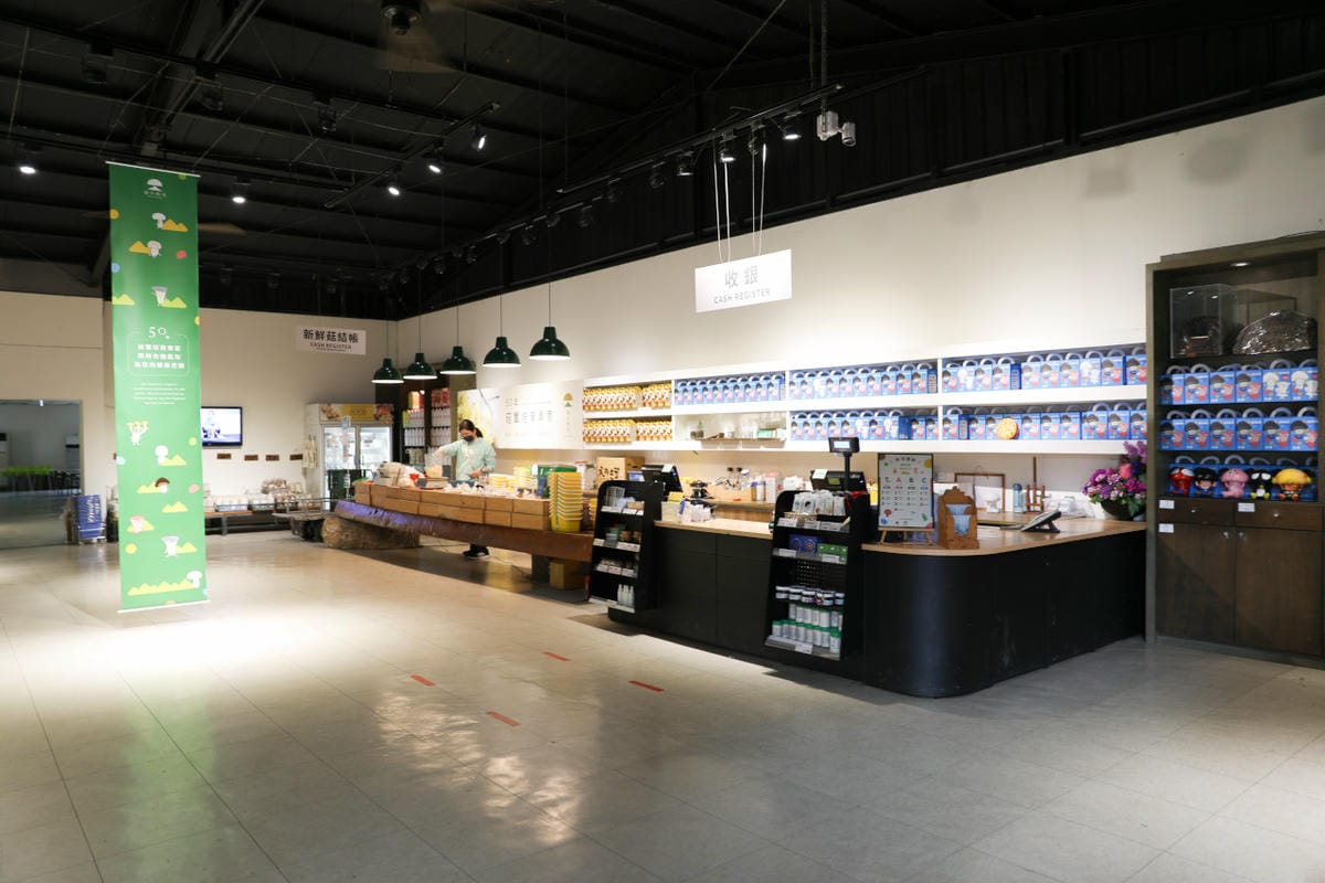 南投親子景點推薦! 豐年靈芝菇類生態農場 埔里親子採菇趣.披薩DIY.公仔彩繪 - 第6張圖 南投親子景點推薦! 豐年靈芝菇類生態農場 埔里親子採菇趣.披薩DIY.公仔彩繪