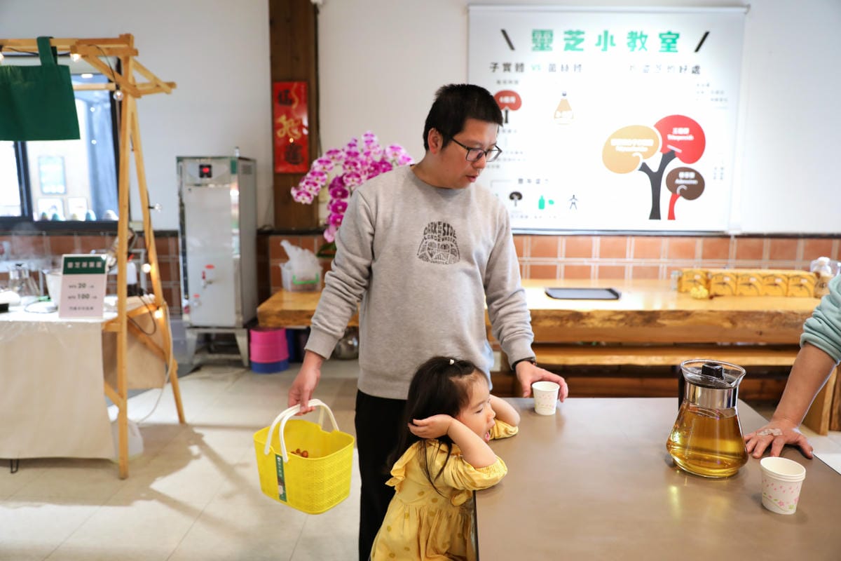 南投親子景點推薦! 豐年靈芝菇類生態農場 埔里親子採菇趣.披薩DIY.公仔彩繪 - 第12張圖 南投親子景點推薦! 豐年靈芝菇類生態農場 埔里親子採菇趣.披薩DIY.公仔彩繪