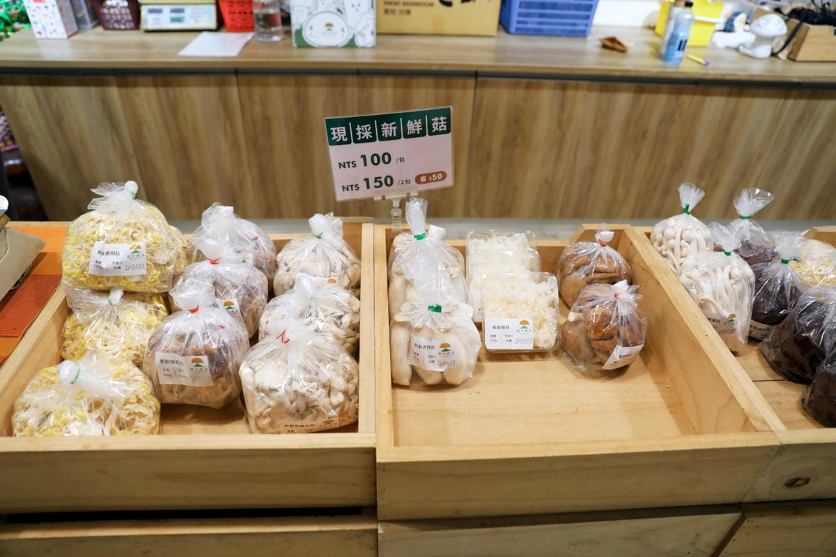 南投親子景點推薦! 豐年靈芝菇類生態農場 埔里親子採菇趣.披薩DIY.公仔彩繪 - 第8張圖 南投親子景點推薦! 豐年靈芝菇類生態農場 埔里親子採菇趣.披薩DIY.公仔彩繪