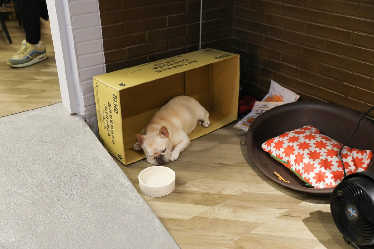 新店美食餐廳聚餐推薦! Eat Enjoy 意享美式廚房2.0新店 美味早午餐.義大利麵.牛排.千層蛋糕 - 第5張圖 新店美食餐廳聚餐推薦! Eat Enjoy 意享美式廚房2.0新店 美味早午餐.義大利麵.牛排.千層蛋糕