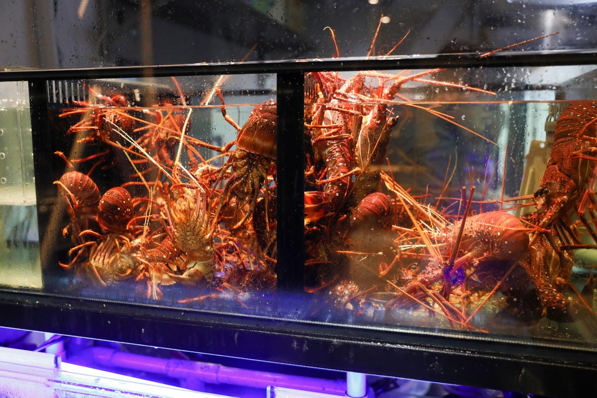 燦 台菜 私廚 桃園中壢高中式CP值無菜單料理,880元十二道精緻台菜