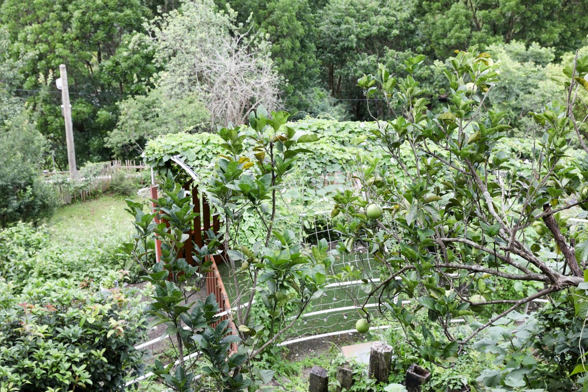 台中豪華露營體驗推薦! 蟬說 山中靜靜 2024暑假有冷氣一泊二食超輕鬆免搭帳親子露營推薦!
