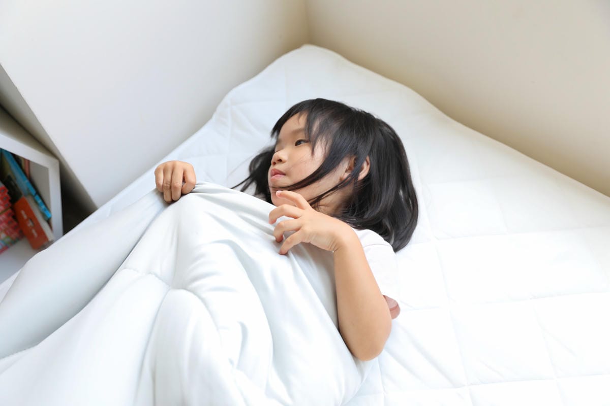 棉床本舖 AlizzZ愛麗絲三折床墊 折疊床墊推薦! 小空間魔術師,沙發床墊二合一 舒芙溫感澎澎被-可水洗四季被