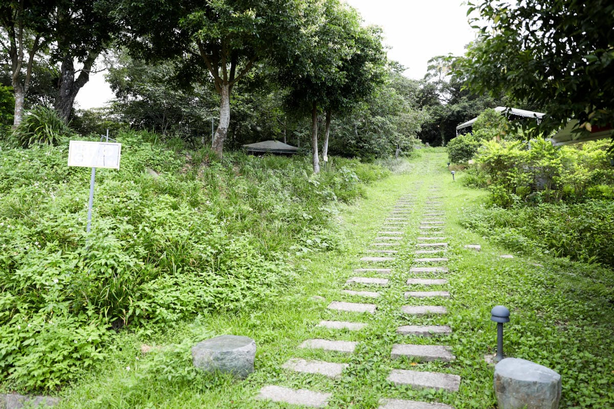 宜蘭百萬夜景露營地推薦! 鷗漫景觀農場 礁溪露營車.景觀山屋.懶人免搭帳豪華露營