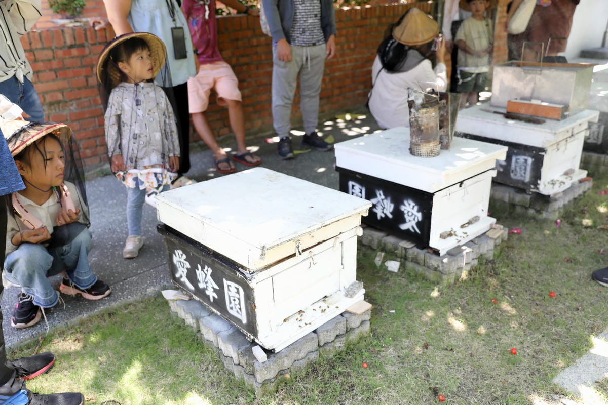 新竹親子旅遊景點推薦! 愛蜂園 蜜蜂生態導覽,小蜂農體驗親手採蜂蜜 新竹伴手禮蜂蜜.蜂蜜氣泡水.蜂蜜啤酒 - 第11張圖 新竹親子旅遊景點推薦! 愛蜂園 蜜蜂生態導覽,小蜂農體驗親手採蜂蜜 新竹伴手禮蜂蜜.蜂蜜氣泡水.蜂蜜啤酒