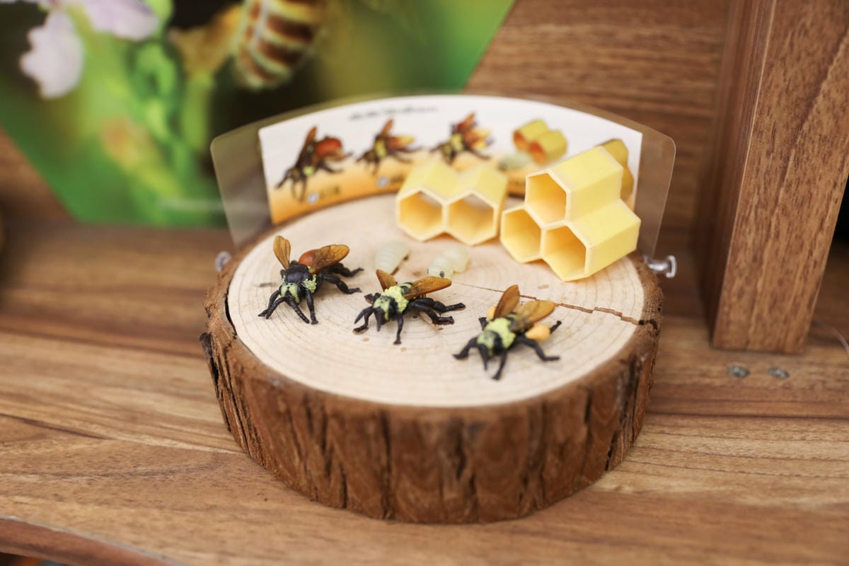 新竹親子旅遊景點推薦! 愛蜂園 蜜蜂生態導覽,小蜂農體驗親手採蜂蜜 新竹伴手禮蜂蜜.蜂蜜氣泡水.蜂蜜啤酒 - 第6張圖 新竹親子旅遊景點推薦! 愛蜂園 蜜蜂生態導覽,小蜂農體驗親手採蜂蜜 新竹伴手禮蜂蜜.蜂蜜氣泡水.蜂蜜啤酒