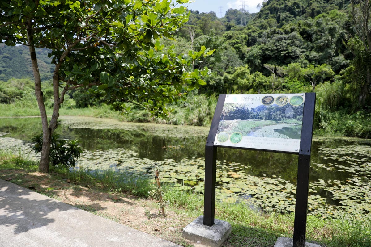 桃園大溪親子一日遊 大漢溪自行車道騎腳踏車遊山豬湖生態親水園區,大溪老街吃美食 中庄吊橋.月眉人工溼地.中庄調整池.中庄景觀土丘(共融遊具).瑞興濕地