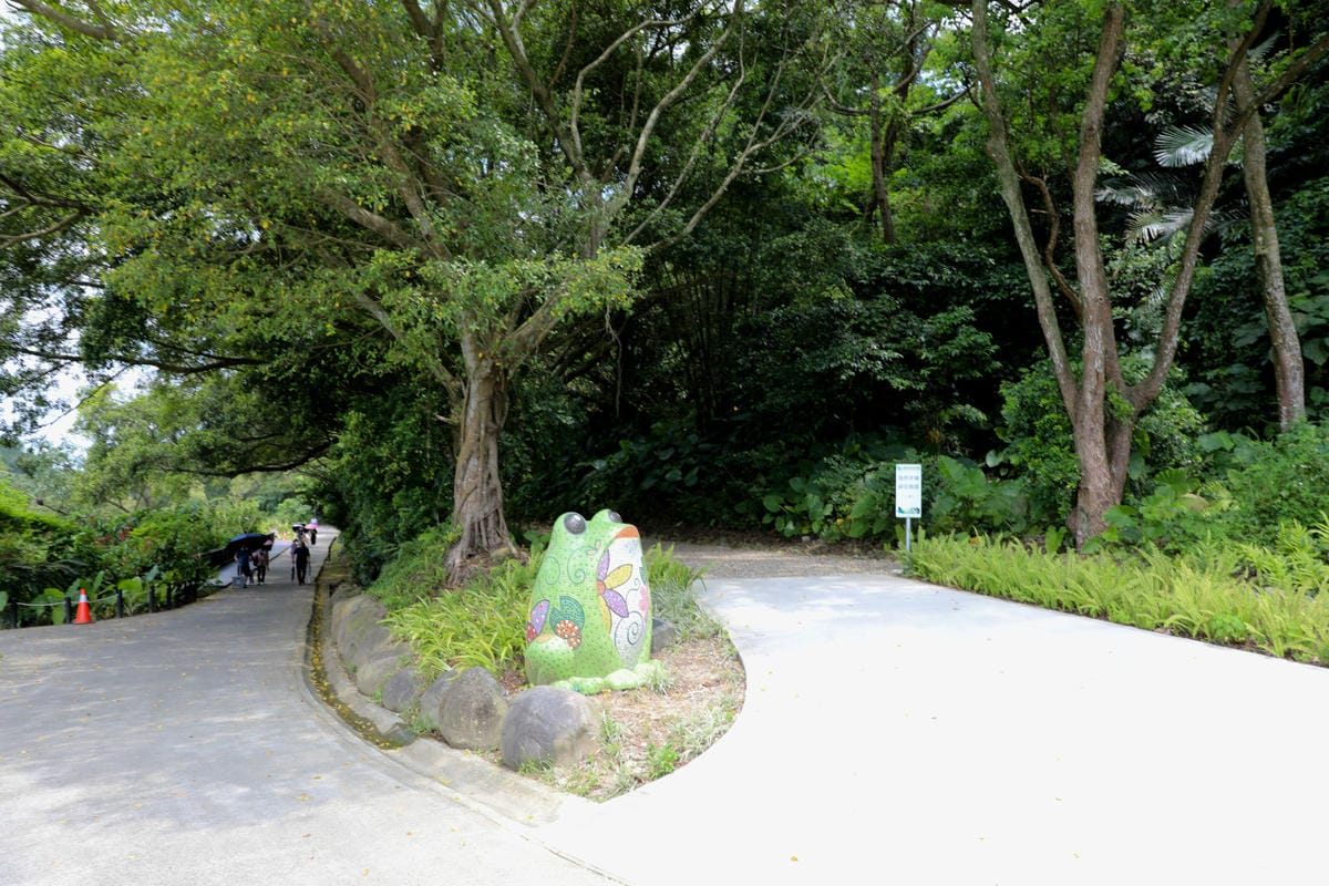 桃園大溪親子一日遊 大漢溪自行車道騎腳踏車遊山豬湖生態親水園區,大溪老街吃美食 中庄吊橋.月眉人工溼地.中庄調整池.中庄景觀土丘(共融遊具).瑞興濕地