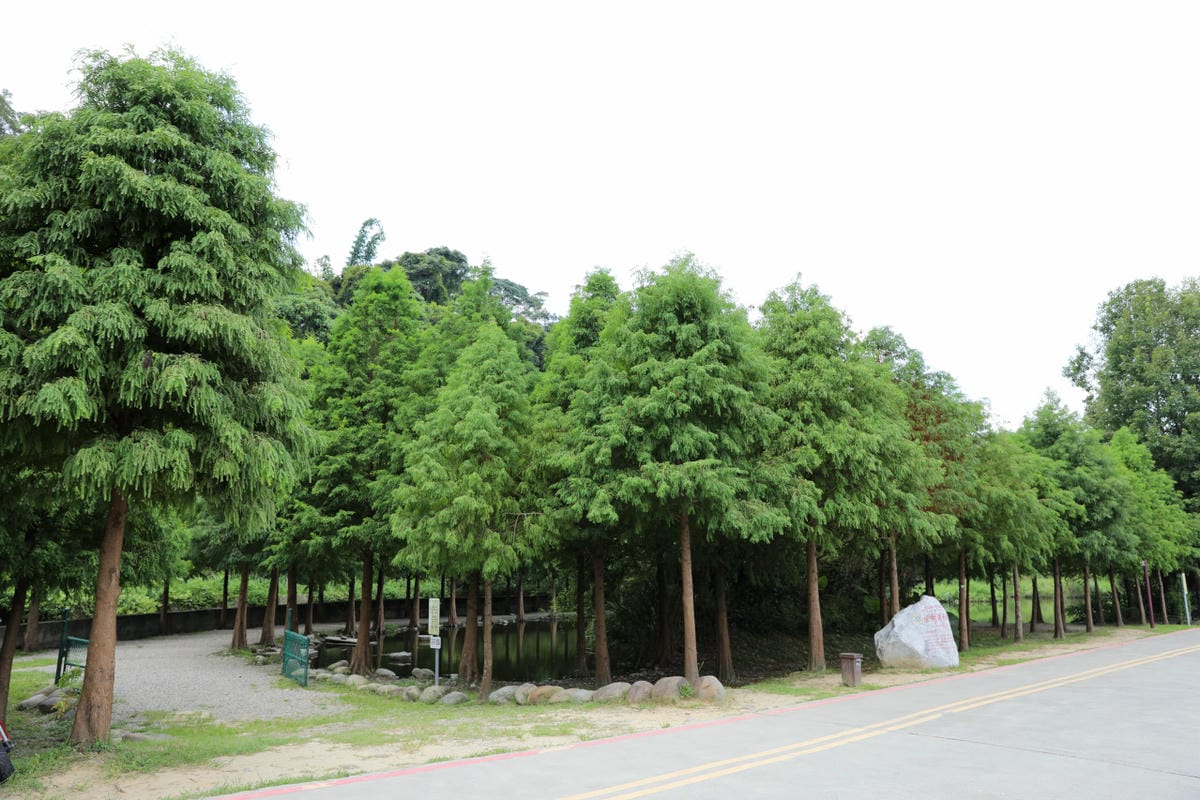 桃園大溪親子一日遊 大漢溪自行車道騎腳踏車遊山豬湖生態親水園區,大溪老街吃美食 中庄吊橋.月眉人工溼地.中庄調整池.中庄景觀土丘(共融遊具).瑞興濕地