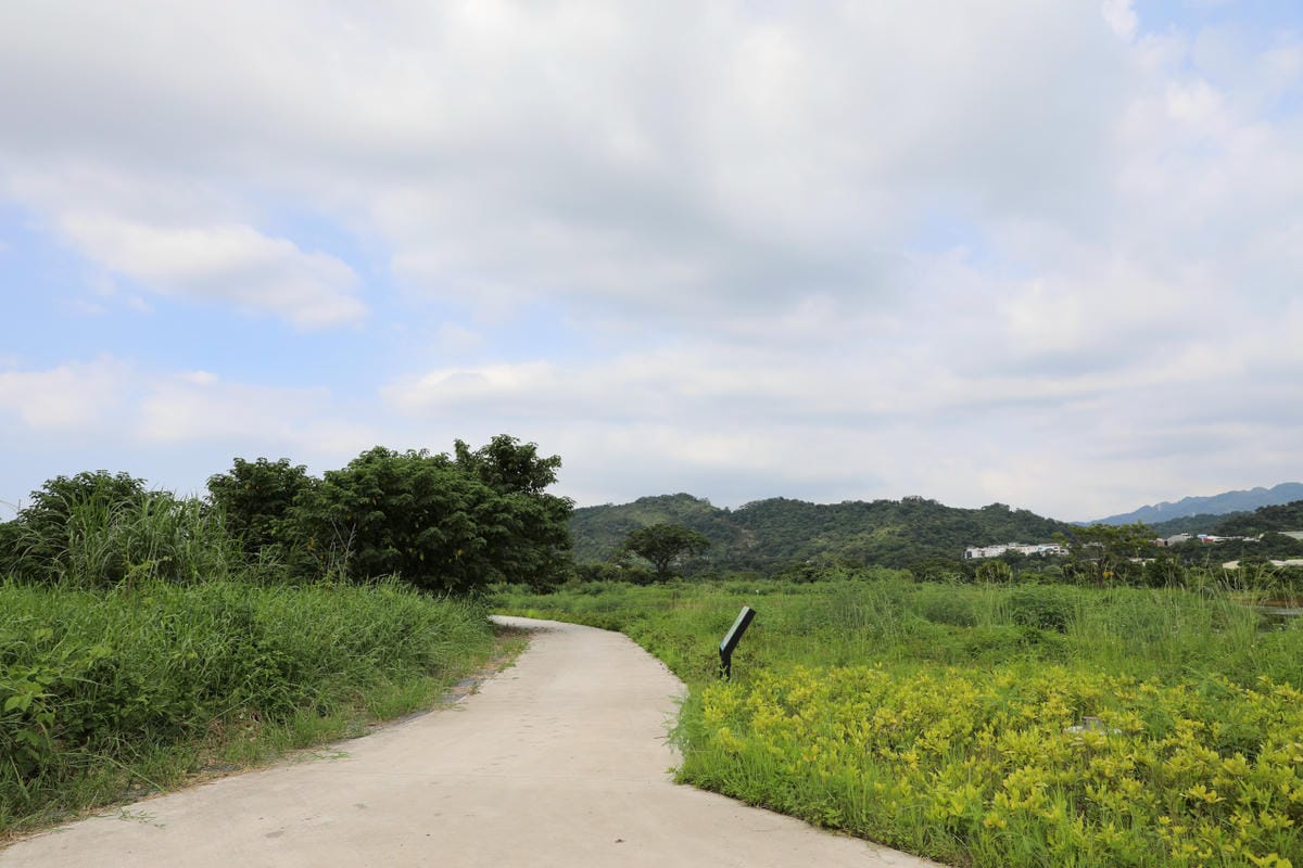 桃園大溪親子一日遊 大漢溪自行車道騎腳踏車遊山豬湖生態親水園區,大溪老街吃美食 中庄吊橋.月眉人工溼地.中庄調整池.中庄景觀土丘(共融遊具).瑞興濕地