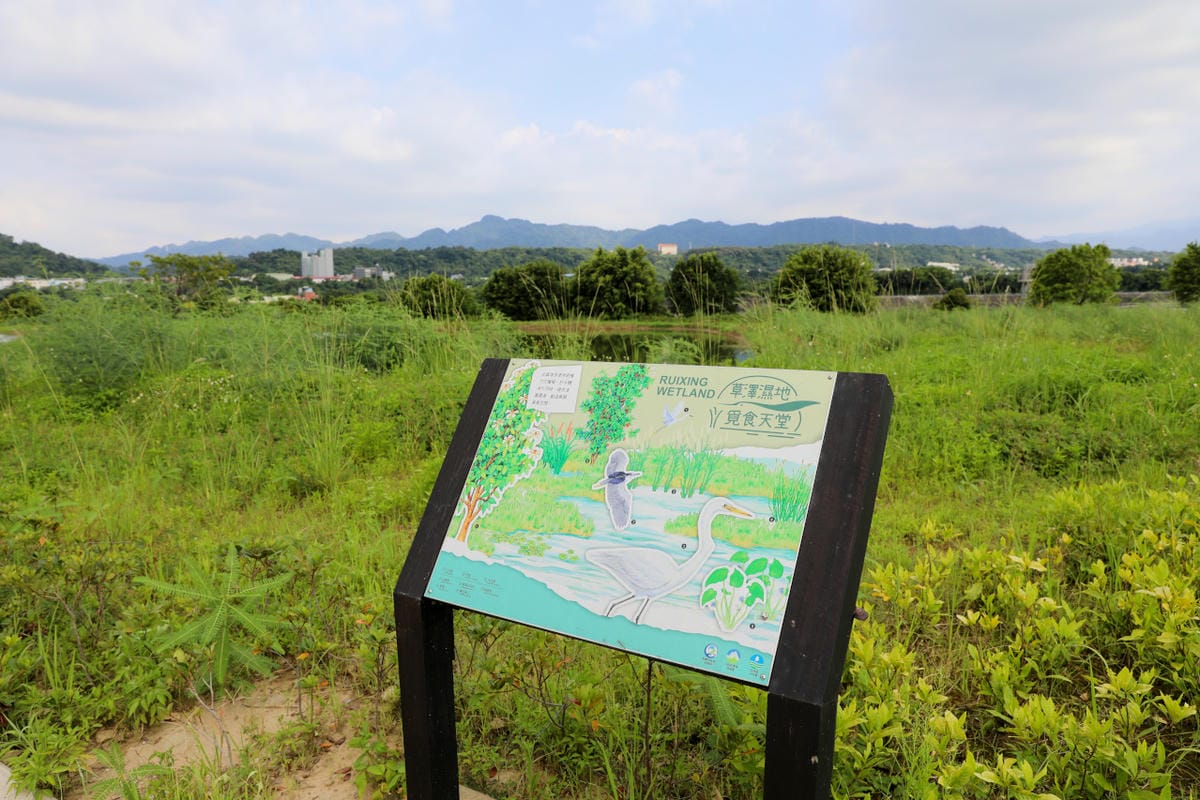 桃園大溪親子一日遊 大漢溪自行車道騎腳踏車遊山豬湖生態親水園區,大溪老街吃美食 中庄吊橋.月眉人工溼地.中庄調整池.中庄景觀土丘(共融遊具).瑞興濕地