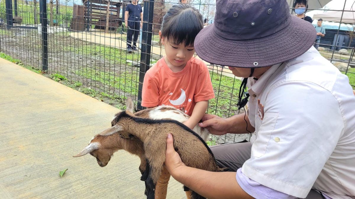 宜蘭新月廣場住宿推薦! 宜蘭東旅 住宿按摩.寵物友善.日式早餐.暖胃宵夜 宜蘭親子兩天一日遊行程推薦蘭陽動植物王國 - 第44張圖 宜蘭新月廣場住宿推薦! 宜蘭東旅 住宿按摩.寵物友善.日式早餐.暖胃宵夜 宜蘭親子兩天一日遊行程推薦蘭陽動植物王國