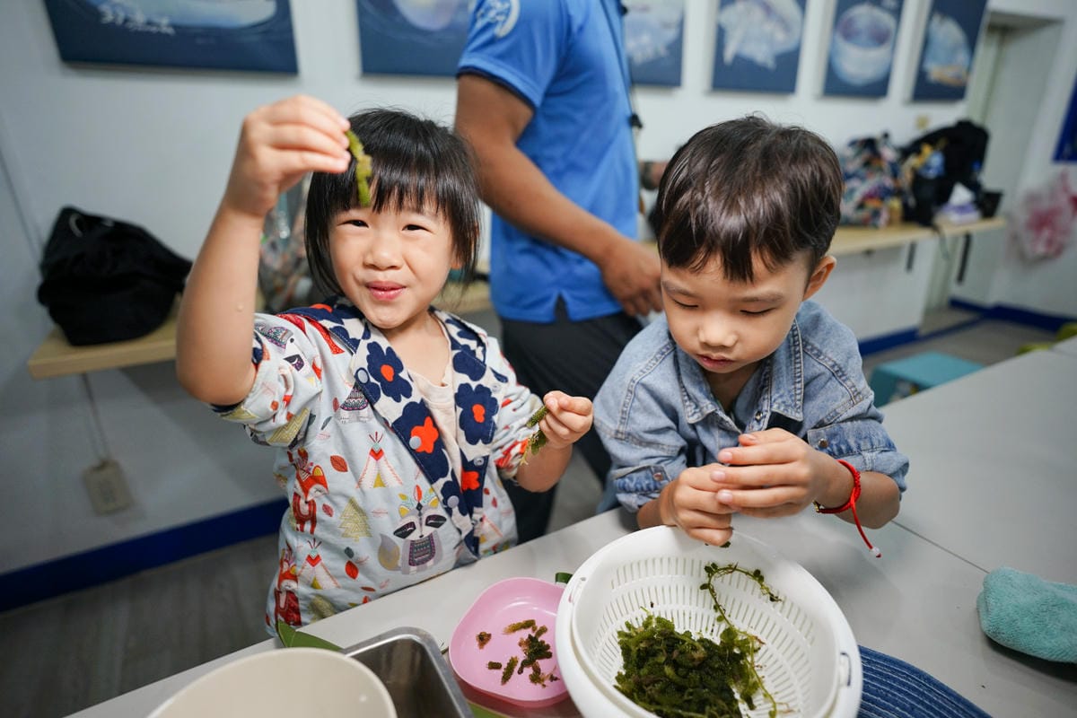 2024東北角漁村旅遊推薦! 南雅社區保家索DIY.鮮物本舖九孔生態導覽.龍門社區導覽牽罟飯體驗.卯澳社區石花凍DIY