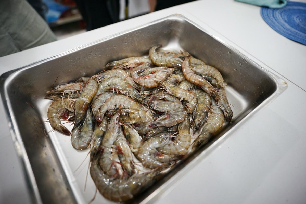 2024東北角漁村旅遊推薦! 南雅社區保家索DIY.鮮物本舖九孔生態導覽.龍門社區導覽牽罟飯體驗.卯澳社區石花凍DIY