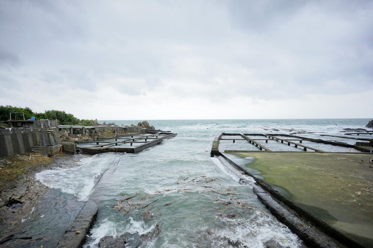 2024東北角漁村旅遊推薦! 南雅社區保家索DIY.鮮物本舖九孔生態導覽.龍門社區導覽牽罟飯體驗.卯澳社區石花凍DIY