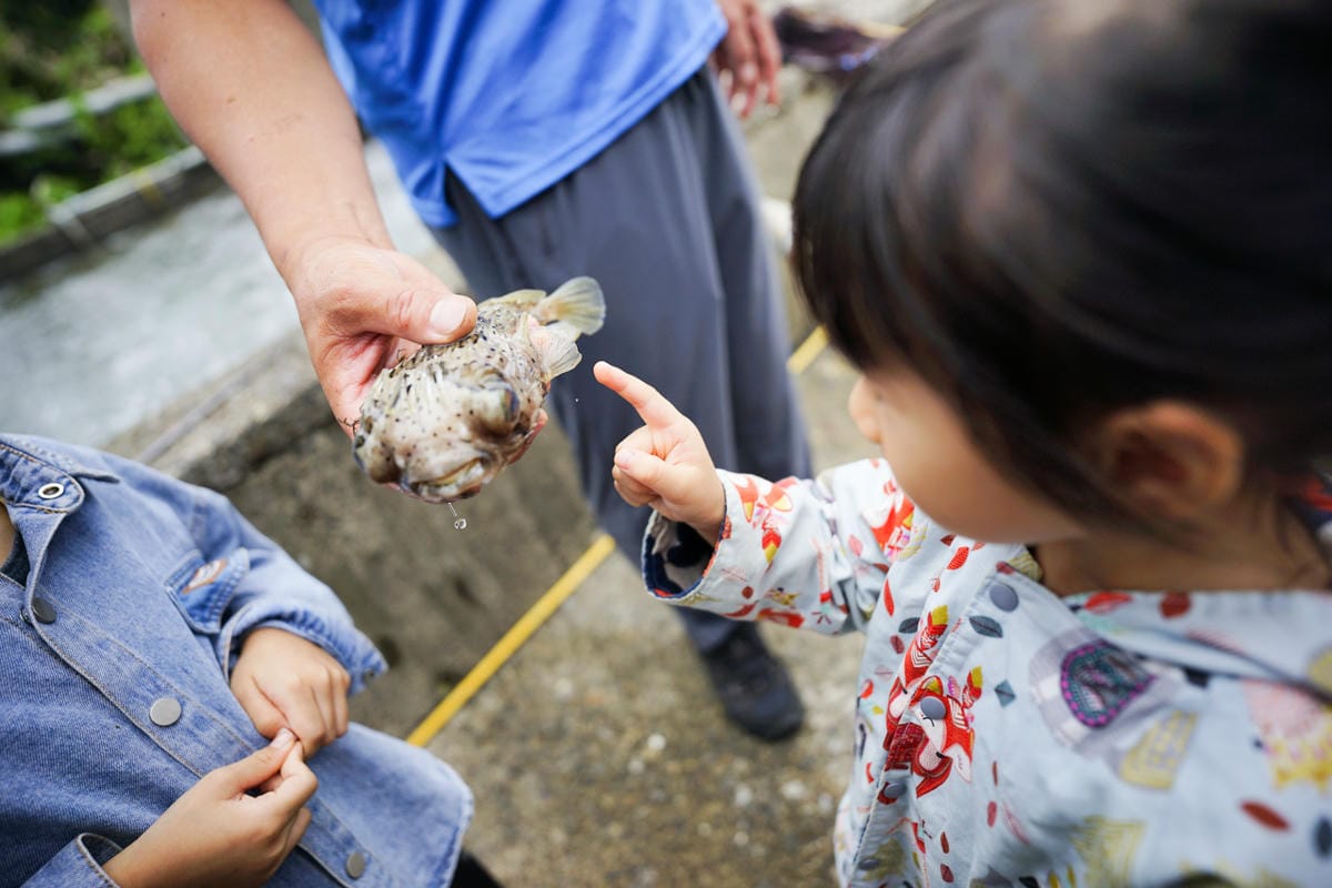2024東北角漁村旅遊推薦! 南雅社區保家索DIY.鮮物本舖九孔生態導覽.龍門社區導覽牽罟飯體驗.卯澳社區石花凍DIY
