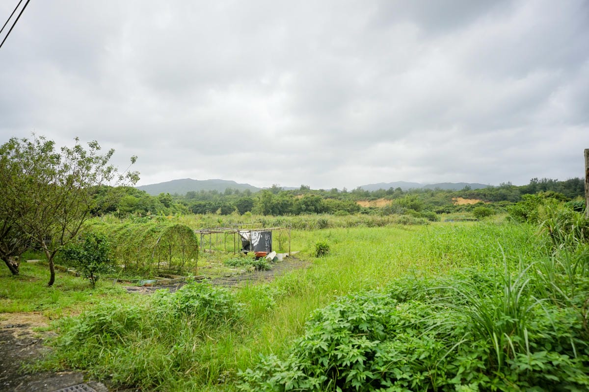 2024東北角漁村旅遊推薦! 南雅社區保家索DIY.鮮物本舖九孔生態導覽.龍門社區導覽牽罟飯體驗.卯澳社區石花凍DIY
