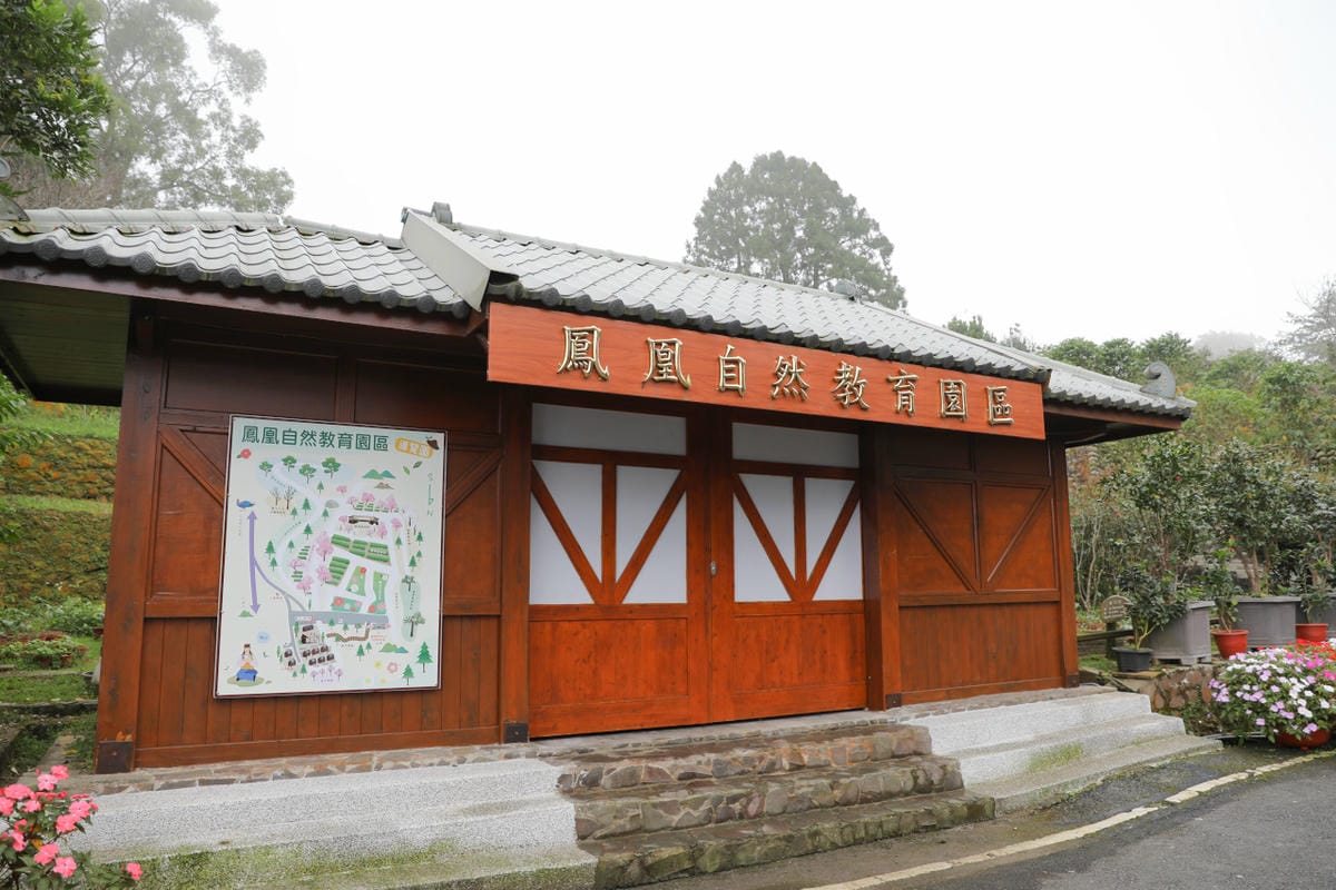 南投鹿谷住宿推薦! 鳳凰‧森之鳴 鳳凰自然教育園區 森林小木屋一泊二食 夜間生態探索 - 第2張圖 南投鹿谷住宿推薦! 鳳凰‧森之鳴 鳳凰自然教育園區 森林小木屋一泊二食 夜間生態探索