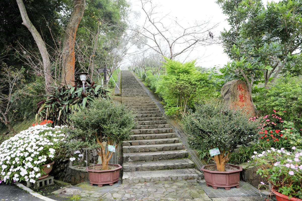 南投鹿谷住宿推薦! 鳳凰‧森之鳴 鳳凰自然教育園區 森林小木屋一泊二食 夜間生態探索 - 第12張圖 南投鹿谷住宿推薦! 鳳凰‧森之鳴 鳳凰自然教育園區 森林小木屋一泊二食 夜間生態探索