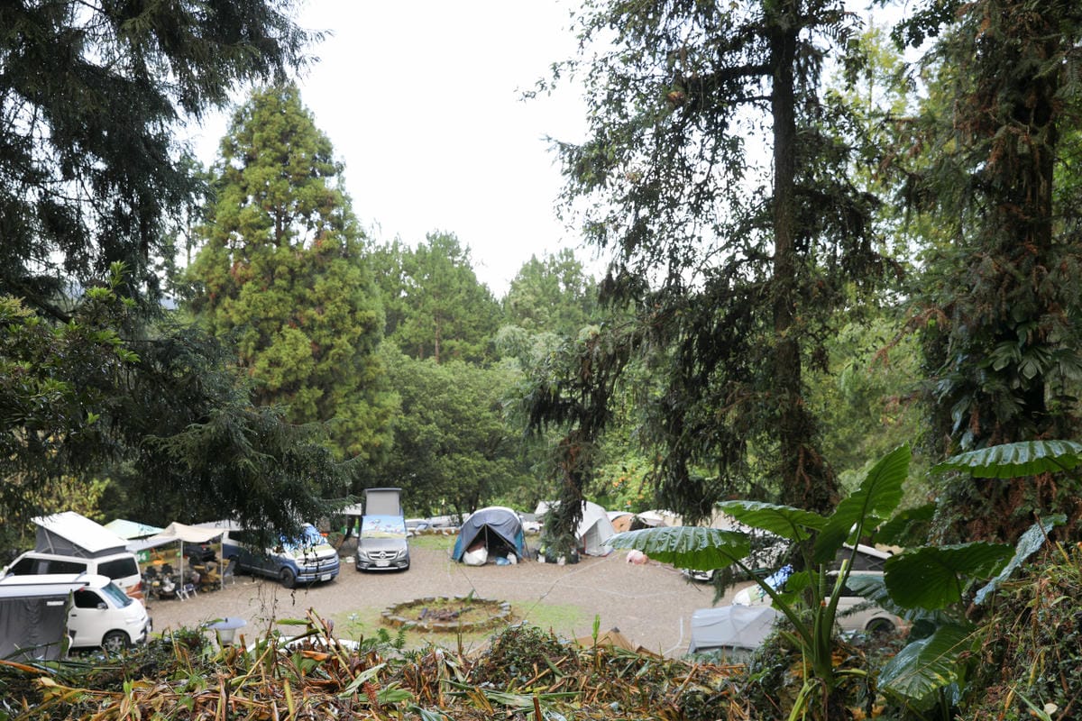 南投森林系露營區推薦! 蟬說:溪頭生態露營區 自搭帳棚.車泊.露營車 - 第25張圖 南投森林系露營區推薦! 蟬說:溪頭生態露營區 自搭帳棚.車泊.露營車