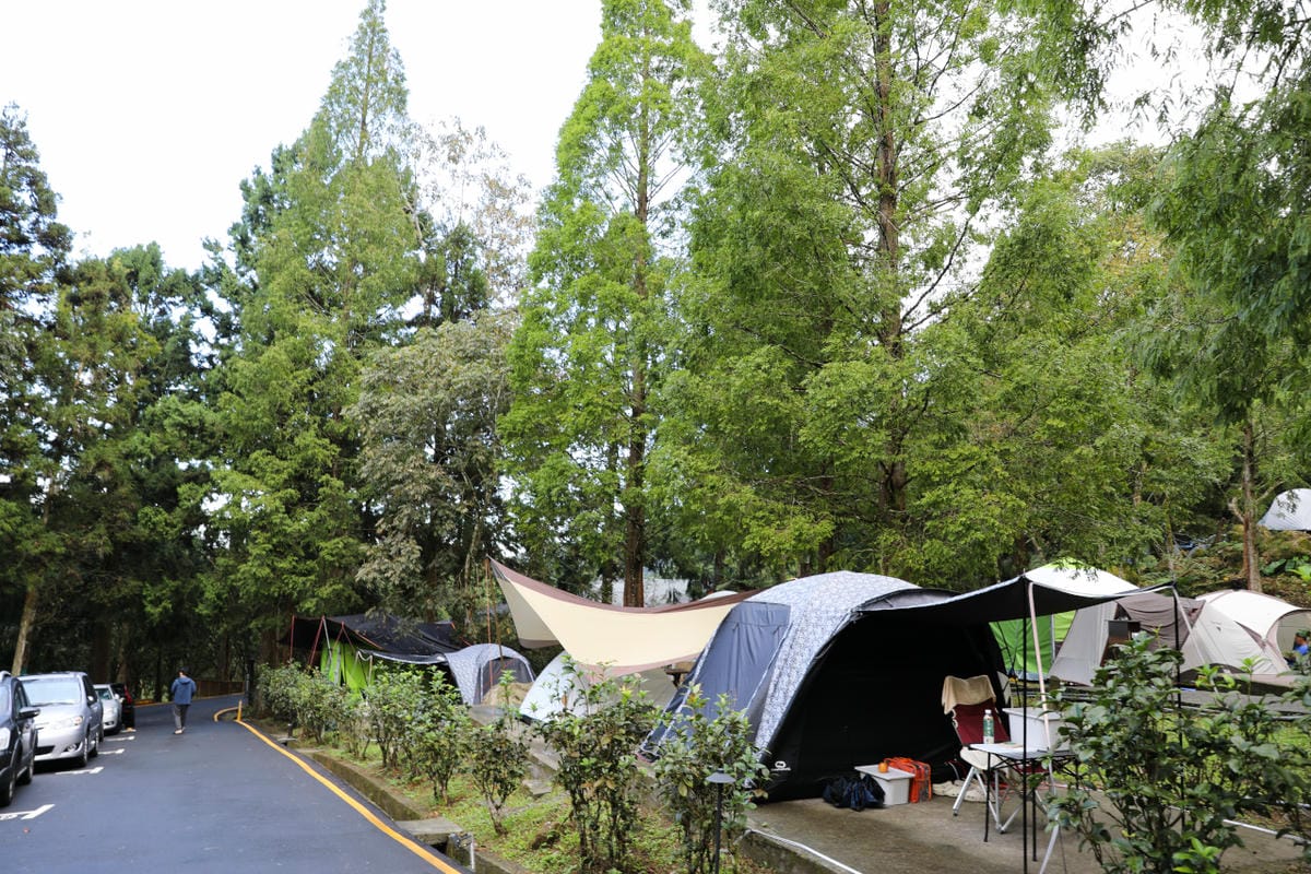 南投森林系露營區推薦! 蟬說:溪頭生態露營區 自搭帳棚.車泊.露營車 - 第28張圖 南投森林系露營區推薦! 蟬說:溪頭生態露營區 自搭帳棚.車泊.露營車