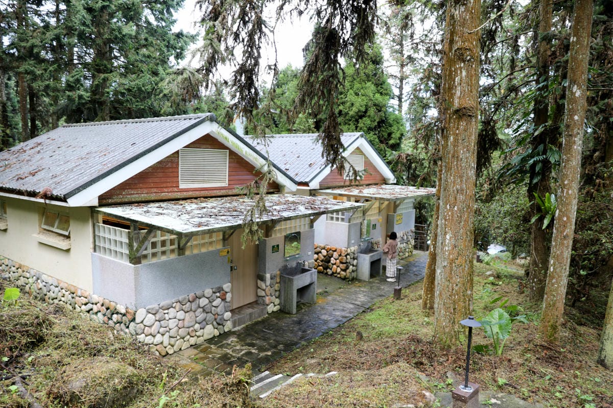 南投森林系露營區推薦! 蟬說:溪頭生態露營區 自搭帳棚.車泊.露營車 - 第31張圖 南投森林系露營區推薦! 蟬說:溪頭生態露營區 自搭帳棚.車泊.露營車