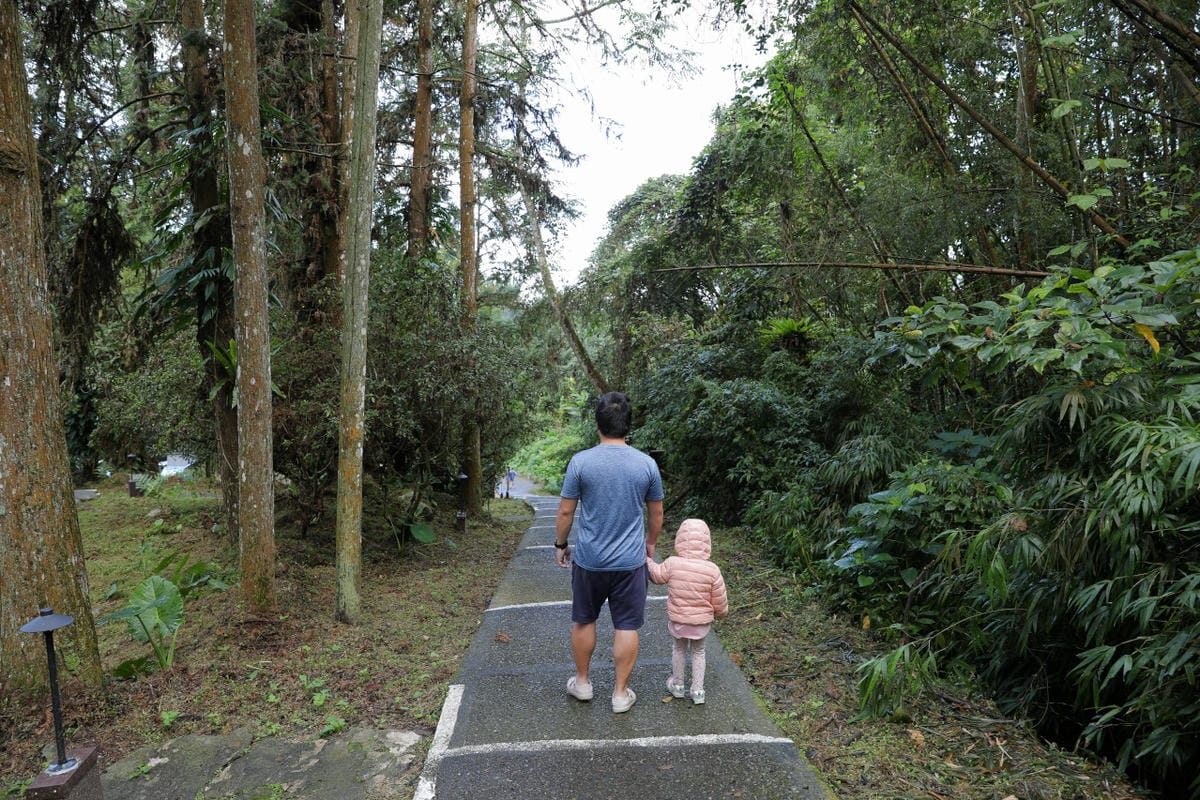 南投森林系露營區推薦! 蟬說:溪頭生態露營區 自搭帳棚.車泊.露營車 - 第35張圖 南投森林系露營區推薦! 蟬說:溪頭生態露營區 自搭帳棚.車泊.露營車