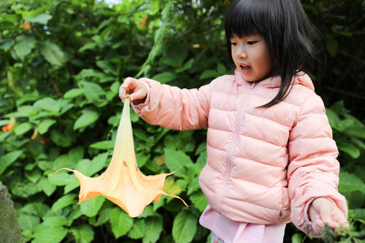 南投森林系露營區推薦! 蟬說:溪頭生態露營區 自搭帳棚.車泊.露營車 - 第41張圖 南投森林系露營區推薦! 蟬說:溪頭生態露營區 自搭帳棚.車泊.露營車