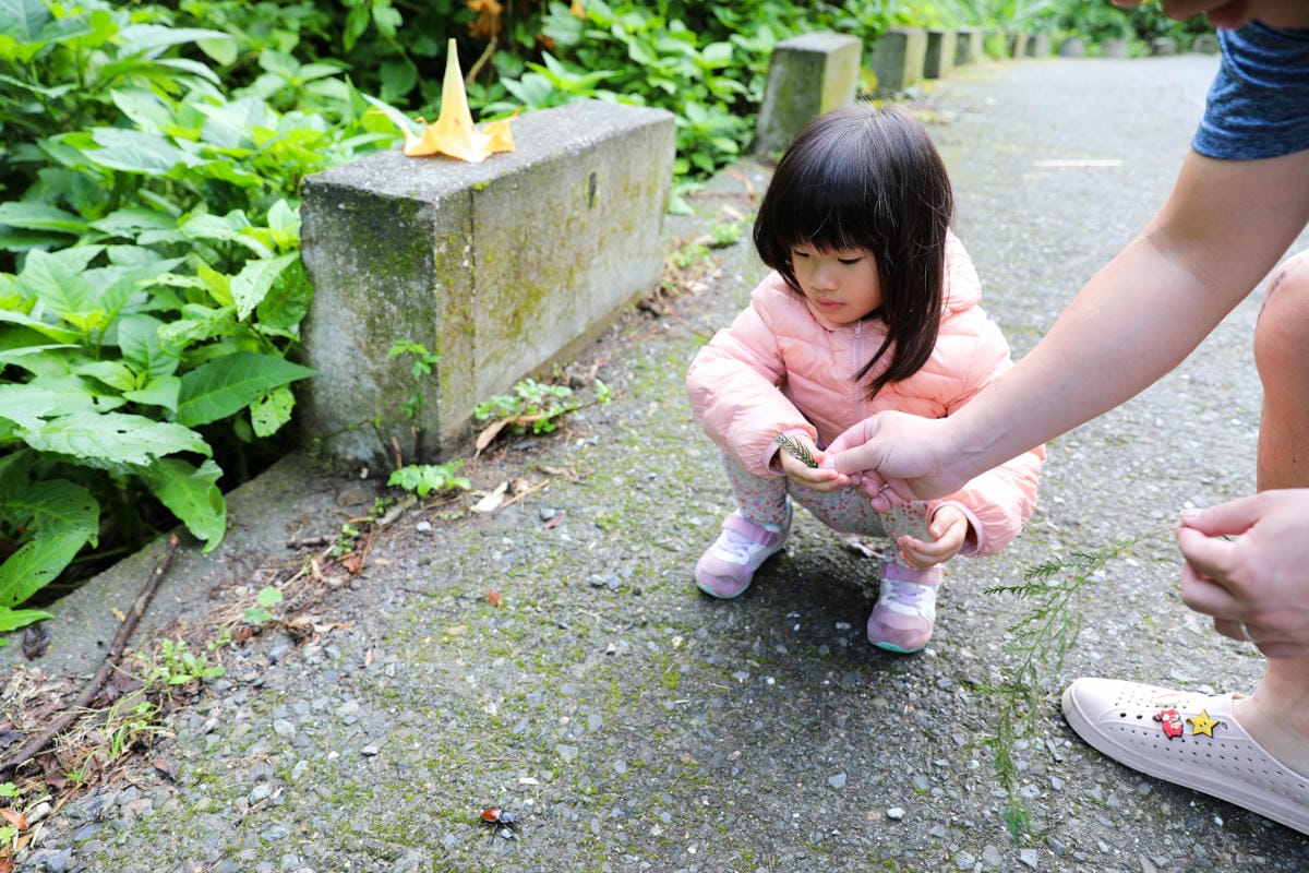 南投森林系露營區推薦! 蟬說:溪頭生態露營區 自搭帳棚.車泊.露營車 - 第42張圖 南投森林系露營區推薦! 蟬說:溪頭生態露營區 自搭帳棚.車泊.露營車