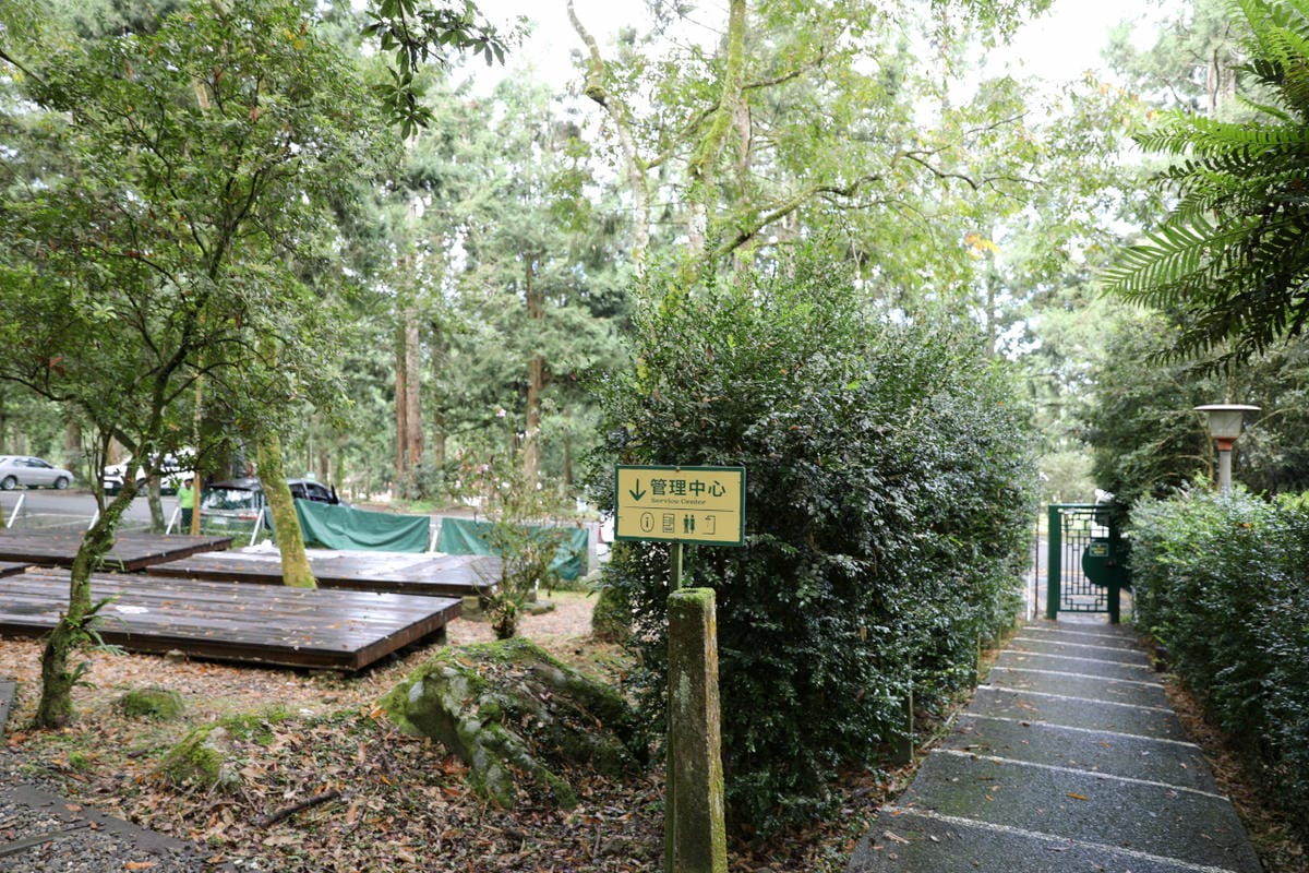 南投森林系露營區推薦! 蟬說:溪頭生態露營區 自搭帳棚.車泊.露營車 - 第24張圖 南投森林系露營區推薦! 蟬說:溪頭生態露營區 自搭帳棚.車泊.露營車