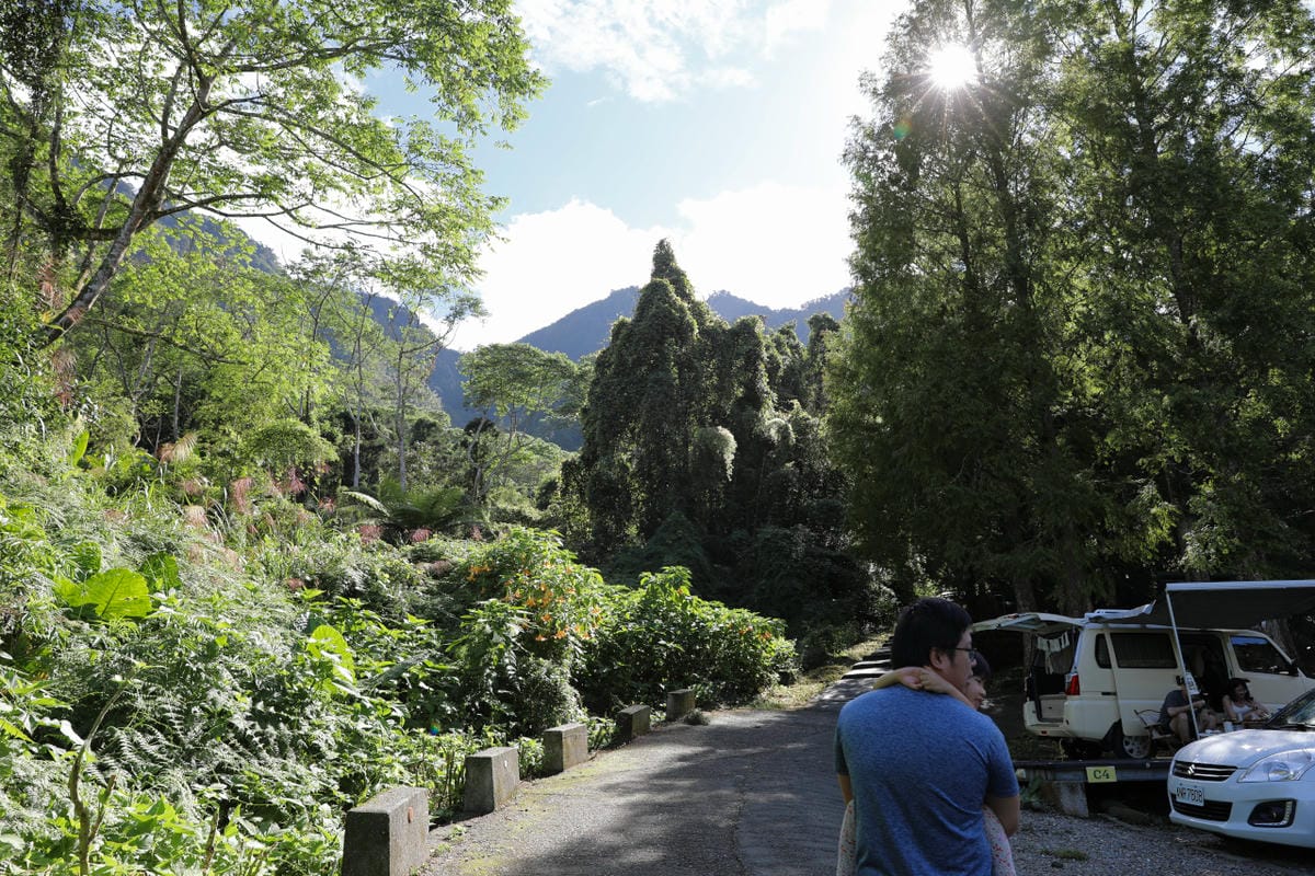 南投森林系露營區推薦! 蟬說:溪頭生態露營區 自搭帳棚.車泊.露營車 - 第2張圖 南投森林系露營區推薦! 蟬說:溪頭生態露營區 自搭帳棚.車泊.露營車