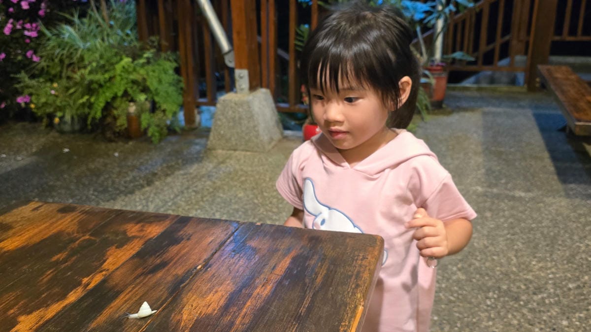 南投鹿谷住宿推薦! 鳳凰‧森之鳴 鳳凰自然教育園區 森林小木屋一泊二食 夜間生態探索 - 第36張圖 南投鹿谷住宿推薦! 鳳凰‧森之鳴 鳳凰自然教育園區 森林小木屋一泊二食 夜間生態探索