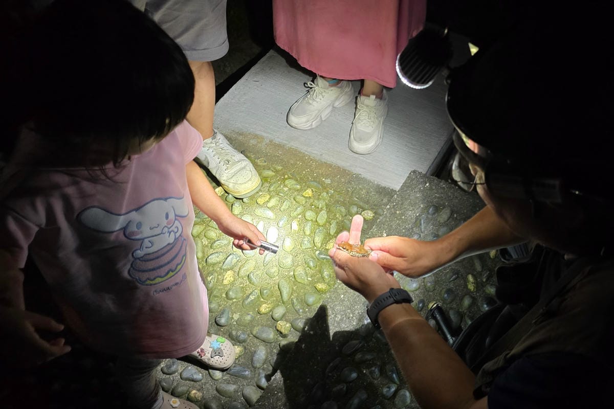 南投鹿谷住宿推薦! 鳳凰‧森之鳴 鳳凰自然教育園區 森林小木屋一泊二食 夜間生態探索 - 第33張圖 南投鹿谷住宿推薦! 鳳凰‧森之鳴 鳳凰自然教育園區 森林小木屋一泊二食 夜間生態探索