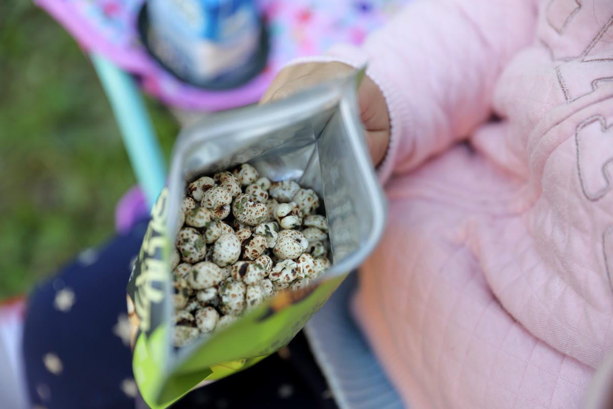 耘初茶食 蹦穀物薏米花 低溫烘烤非油炸小零嘴 適合小小孩吃的健康天然零食推薦!