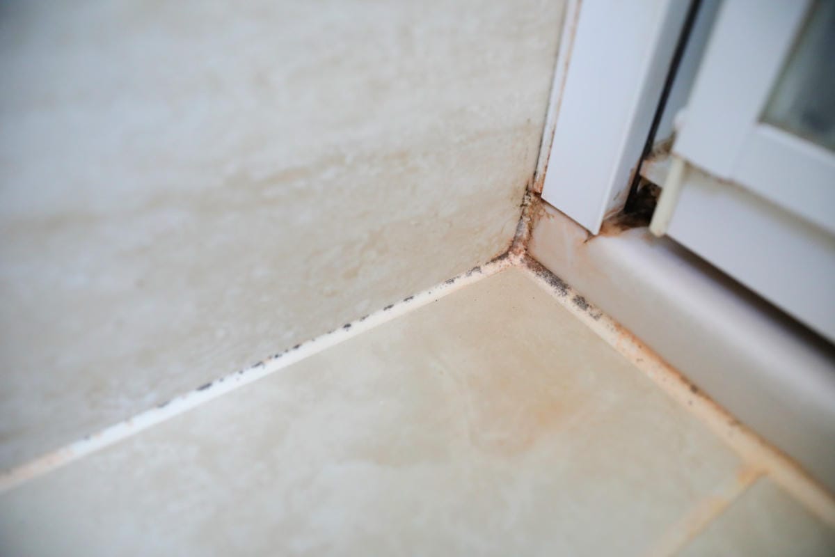 ITAI ITAI＿痛經女子 最強日韓選物商品社團推薦! 年前大掃除清潔好幫手.年節伴手禮果乾乾貨買起來~