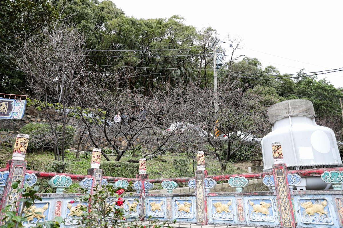 2025桃園走春一日遊推薦! 壽山巖觀音寺 新年祈福拜拜領福袋.點燈安太歲.補春運保平安.賞櫻花,再到長庚養生文化村賞梅花野餐 - 第27張圖 2025桃園走春一日遊推薦! 壽山巖觀音寺 新年祈福拜拜領福袋.點燈安太歲.補春運保平安.賞櫻花,再到長庚養生文化村賞梅花野餐