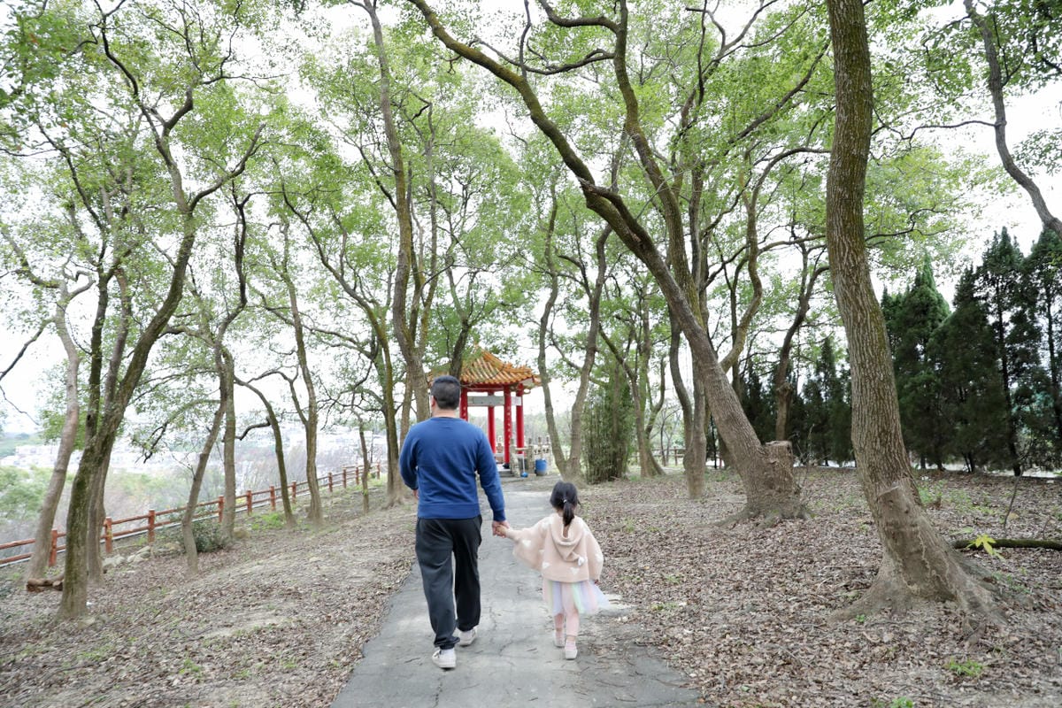 2025桃園走春一日遊推薦! 壽山巖觀音寺 新年祈福拜拜領福袋.點燈安太歲.補春運保平安.賞櫻花,再到長庚養生文化村賞梅花野餐 - 第28張圖 2025桃園走春一日遊推薦! 壽山巖觀音寺 新年祈福拜拜領福袋.點燈安太歲.補春運保平安.賞櫻花,再到長庚養生文化村賞梅花野餐